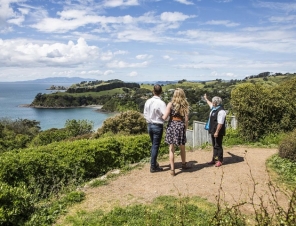 Palm Beach vista on Waiheke Wine Tour